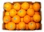 Import Fruit Citrus Orange, 100% Natural Fresh Citrus Fruits,Lemon orange lime citrus Juice from Germany
