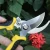 Import fruit leaf flower trimming scissors pruner garden pruning shears from China