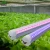 Import Full Spectrum LED grow light bar t8 18W 36W 1.2M 4ft for indoor plant use led plant grow lighting growing lampl tube from China