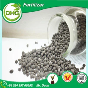 Fused Magnesium Phosphate Fertilizer FMP P2O5 15% powder and granule