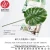 Import Fuyuan Faux Monstera deliciosa Liebm leaf for wall public home decoration from China