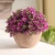 Import fzzw035 Factory Directly Sale beautiful Artificial topiary boxwood grass ball artificial plant for home decoration office from China
