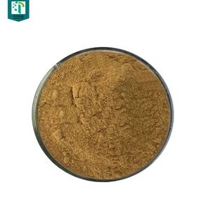 Ganoderma lucidum extract/ Ganoderma lucidum extract powder/lingzhi mushroom extract