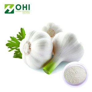 Garlic Extract/Garlic Extract Powder/Garlic Extract Allicin