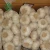 Import garlic seeds for sale /crop from china from China