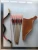 Import Genuine cow leather and wooden Mini bow&amp;arrow set for shooting from China