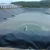 Geomembrane 1.0mm impermeable membrane for pool liner