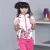 Import Girls Clothing Sets New Autumn Active girls clothes L Children Clothing Cartoon Print Sweatshirts+Pants Suit from China