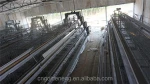 Gold Egg Brand Poultry Farm Equipment Layer Chicken Cages