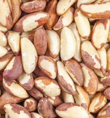 Good quality various roasted and raw dried brazil kernels nuts seeds