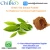 Import Green Tea Extract Powder Natural Caffeine 98% Organic Green Tea Extract for Weight Suppplement from China