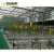 Import GREENDAY Agricultural/commercial Multi-span Polycarbonate Greenhouse from China