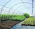 Import Greenhouse Clear Cover White Key Roof Garden Color Plant Material Multi Water Polycarbonate Origin from China