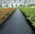 Import ground cover/weed mat mulch agricultural product from Hong Kong