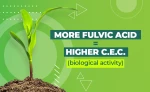 High C.E.C. (bioactivity) humate potassium salts plant growth stimulant with HUMIC & FULVIC ACID 75%