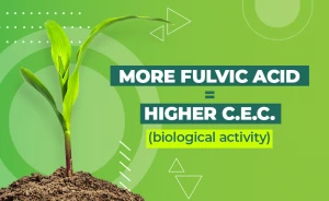 High C.E.C. (bioactivity) humate potassium salts plant growth stimulant with HUMIC & FULVIC ACID 75%