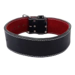 High end nylon back support weightlifting belt lumbar work back brace belt