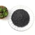 Import High purity recarburizer carbon additive electrically calcined anthracite coal from China