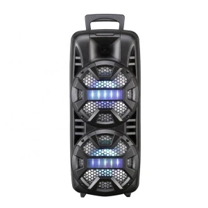 High Quality 80HZ Double 8  Inch Speaker Trolley Portable Trolley Speaker Audio Player Karaoke Speaker With LED Light