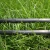 Import high quality agriculture subsurface drip irrigation from China