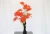 Import High Quality artificial maple tree bonsai plants in China from China