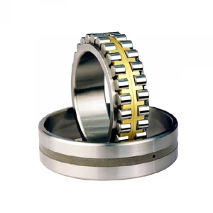 High quality double row cylindrical roller bearing NN NF NJ rn312m 219 60 * 113 * 31mm cylindrical roller bearing nn3008