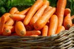 High quality fresh carrot fruits and vegetables (Certification: GAP...)