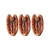 Import High Quality Fresh Peeled From Peru Pecan nuts Pecana from Peru