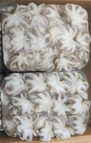 HIGH QUALITY FROZEN OCTOPUS WHOLE FROM INDIA