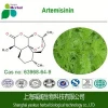High quality herb medicine treat malaria pure artemisinin Sweet wormwood extract artemisinin