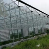 High Quality Large Agricultural Glass Greenhouse with Fully Automatic Control