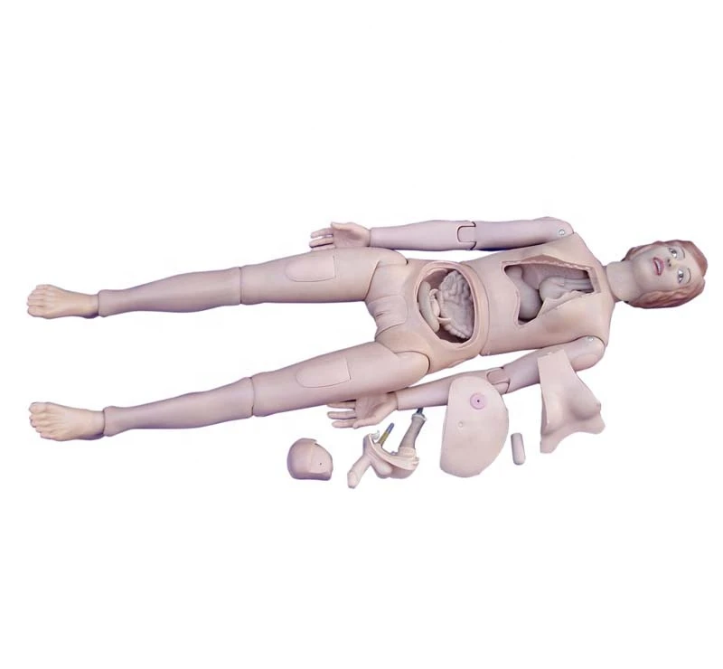 High Quality Nurse Training Doll (Female) Hospital school medical teaching training anatomical model BC1115-01B