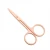 Import High Quality stainless Steel Beauty Rosr Gold Nail Scissors from China