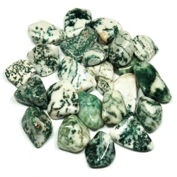 High Quality Tree Agate Tumbled Gemstone Buy From Aalam Crystal Agate