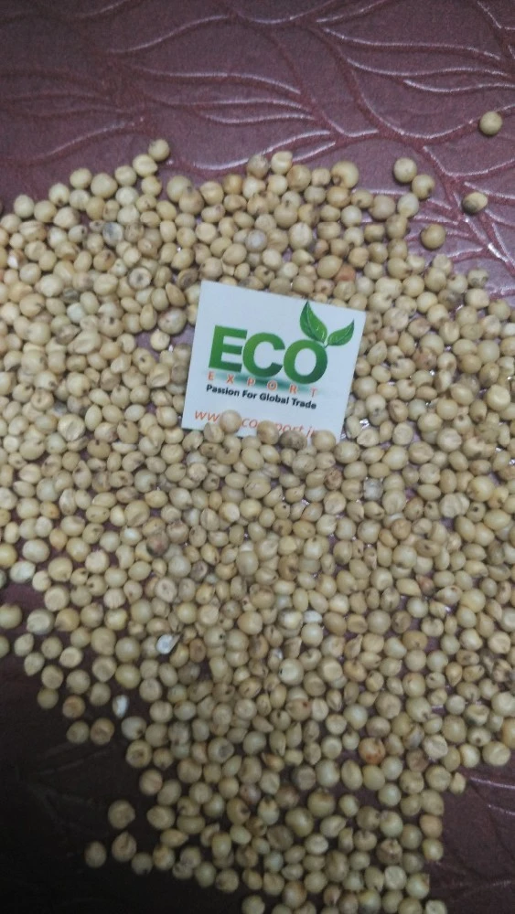 High Quality White Sorghum by Verified Exporter