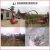 Import High Working Efficiency Corn Forage Harvester/Forage Harvester/Corn Silage Harvester from China