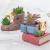Import Home decor mini flower succulents pot cute corgi figurine in resin boots planter with drainage from China