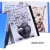 Import Hot sale 2021 new A4 display book transparent folder 60 pockets pp plastic display book File Folder PP Clear Display Book from China