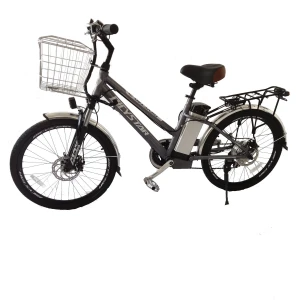hot sale adult 1000 watts high range motor vintag electrical bicycles electric bikes 1000w 1500w velo electrique ebike mid drive