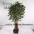 Import hot sale artificial bonsai , decorative foliage plants for home interior decorator from China
