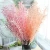 Import hot sale top quality wholesale artificial phoenix tail grass from China