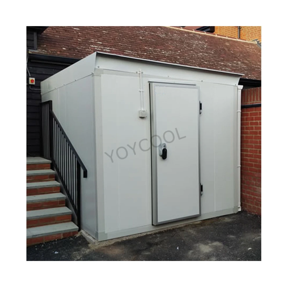 Hot Sell Low Price Refrigeration Food Storage Freezer Containers Deep Freezer 10FT 20FT 40FT