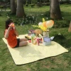 Hot selling camping waterproof out door camp rite picnic mat with low price