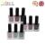 Import Hot selling multi-colors Nail art Nail paint oil based nail polish gift set from Taiwan