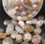 Import Hot selling Natural crystal gemstone  Polished  Healing Stones various agate polished stone from China