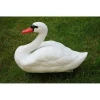 Hot selling Plastic  Hunting Swan  bird decoy  for garden  decoration