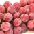 Import Hot Selling Premium Fresh Organic Table Grape Prices from China