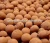 Import hydroponic growing system lightweight expanded clay aggregate from China