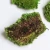 Import Indoor Office Home Green natural preserved moss wall art decor wall art from China
