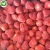 Import IQF Import per ton freeze fruit frozen strawberry for specifications prices from China